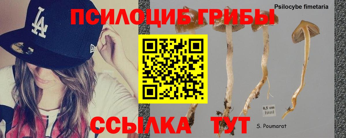 Миллерово  Галлюциногенные грибы Cubensis  Вход с VPN 